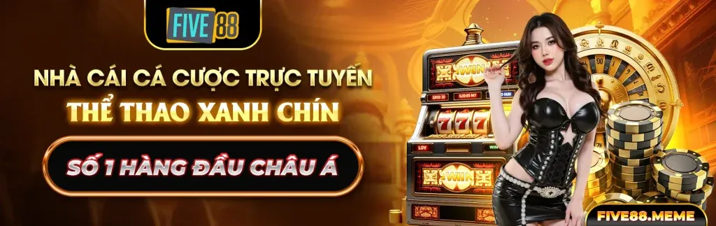 Hình ảnh chính max88 Code Câu Hỏi Thường Gặp